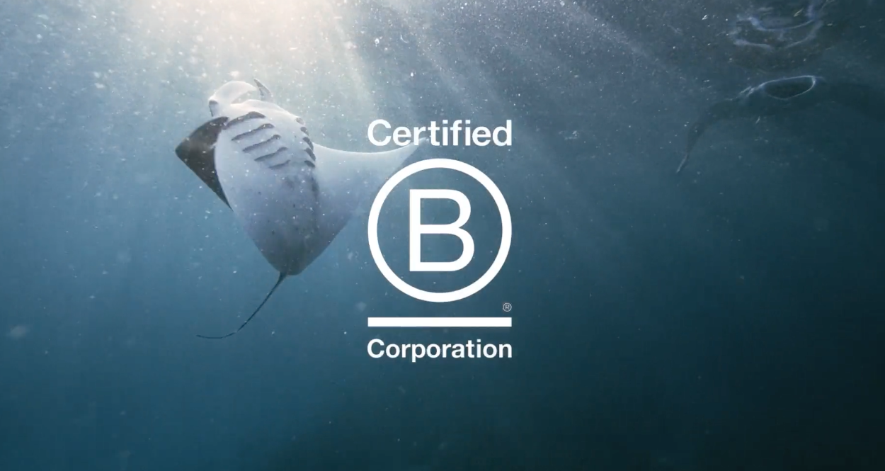Dept behaalt B Corp certificering